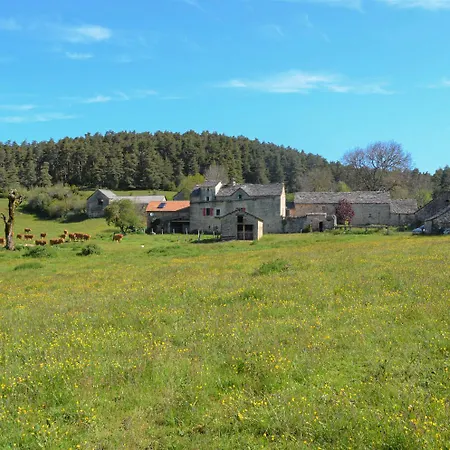 Du Gauzines Holiday home