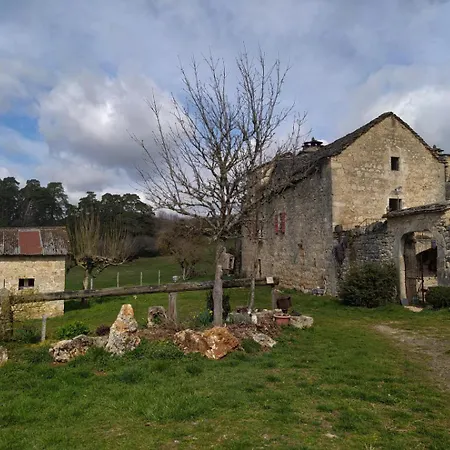 Du Gauzines Holiday home Saint-Georges-de-Levejac